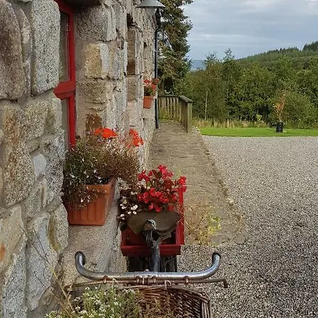 Turrock