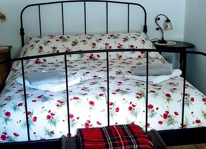 Semesterbostad Turrock Shillelagh