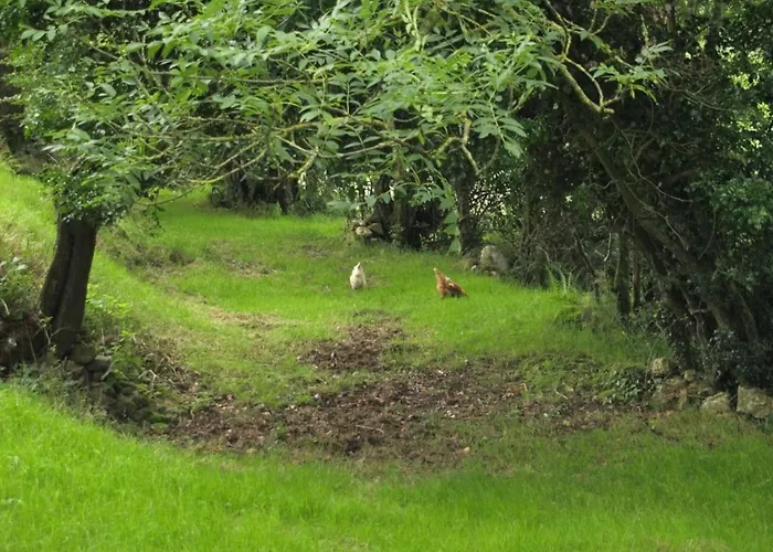 Дом отдыха Turrock Shillelagh